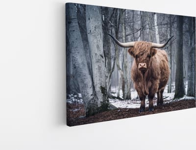 Saammp Canvas Schilderij - Schotse Hooglander Koe - Kunst - Zwart-Wit - Landschap - Dieren - Natuur - 45x30 - Foto op canvas - Wanddecoratie - muurdecoratie Woonkamer - Slaapkamer decoratie - Canvas Print