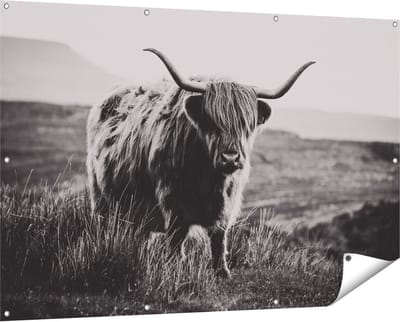 Gards Tuinposter Schotse Hooglander Koe - Zwart Wit - 150x100 cm - Tuindoek - Tuindecoratie - Wanddecoratie buiten - Tuinschilderij