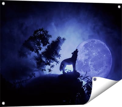 Gards Tuinposter Huilende Wolf in Silhouet bij Volle Maan - 80x60 cm - Tuindoek - Tuindecoratie - Wanddecoratie buiten - Tuinschilderij