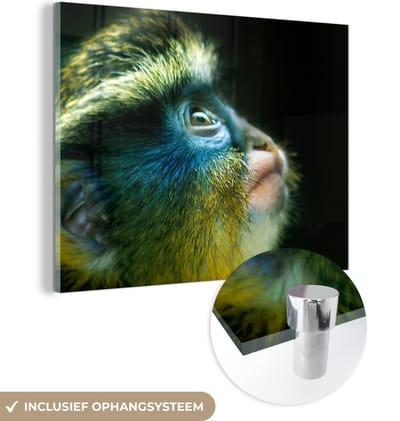 MuchoWow® Glasschilderij 160x120 cm - Schilderij acrylglas - Aap - Vacht - Zwart - Foto op glas - Schilderijen