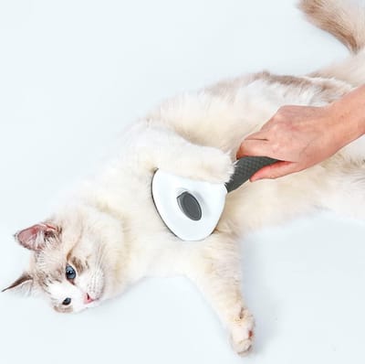 Waledano® 1 Stuk - Hondenborstel - Haarverwijderaar voor Lang Haar en Korthaar - Klittenkam - Haarverwijderaar - Kattenborstel - Langharig/Kortharig - Dierenborste