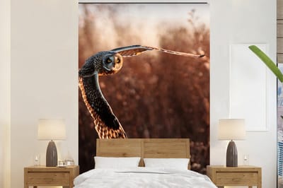 Behang - Fotobehang Vogel - Uil - Zonsondergang - Natuur - Breedte 200 cm x hoogte 300 cm