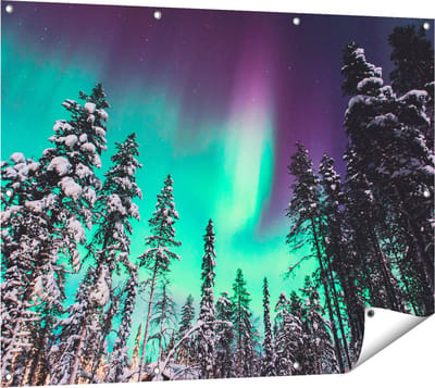 Gards Tuinposter Noorderlicht in de Bossen van Noorwegen - 120x90 cm - Tuindoek - Tuindecoratie - Wanddecoratie buiten - Tuinschilderij