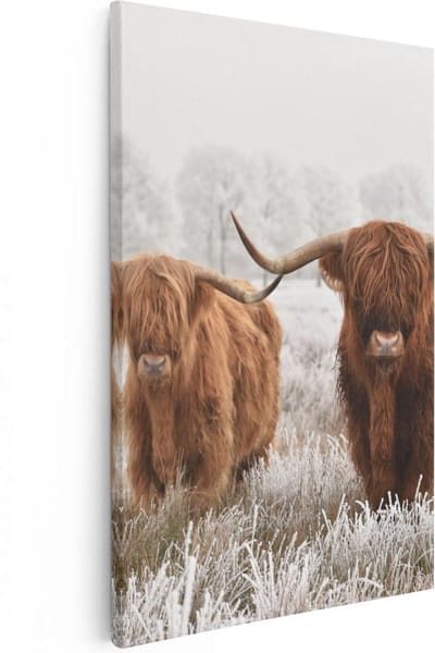 Artaza Canvas Schilderij Schotse Hooglander - 80x120 cm - Groot - Wanddecoratie Winter - Muurdecoratie Natuur - Canvas Schilderijen Woonkamer