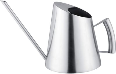 Dailygoods- Plant Gieter 1,5 Liter - Roestvrij Stalen Gieter - Tuin Gieter met Lange Uitloop - Gieter voor Binnen/Buiten - Duurzaam en Elegant - Hoogwaardige Kwaliteit