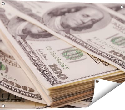 Gards Tuinposter Dollar Geld Briefjes - 80x60 cm - Tuindoek - Tuindecoratie - Wanddecoratie buiten - Tuinschilderij