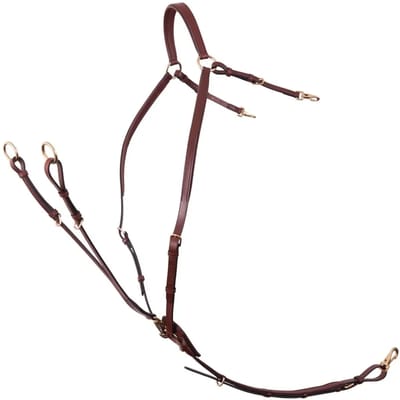 Jachthalsband voor paard met zadelriemen BR Equitation Rayleigh