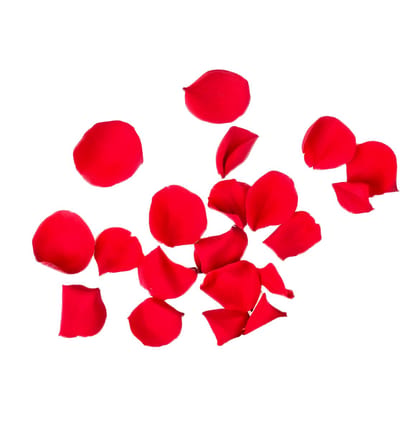 Rozenblaadjes - Rood - 100 stuks