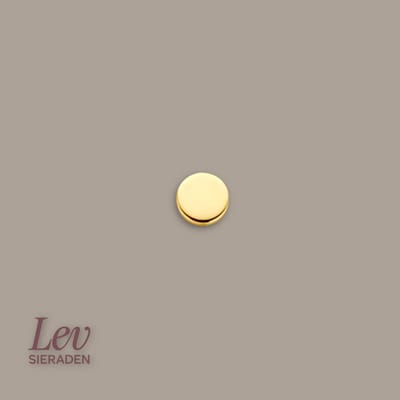 Lev Sieraden - 14k gouden Labret piercing flat top - 0.8x8mm - 3mm top - 585 goud - intern schroefdraad - Internally treaded