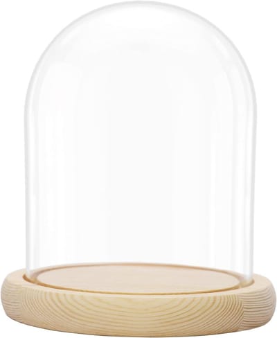 EGoods - Glazen stolp pot met houten basis - 16,2 cm hoog - Decoratieve tafeltop display bak - Fee lichten, kopstukken en antieke items