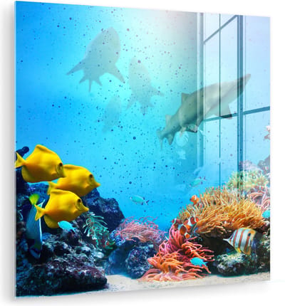 MuchoWow® Glasschilderij 50x50 cm - Schilderij acrylglas - Zee - Vissen - Kleuren - Foto op glas - Muurdecoratie woonkamer - Wanddecoratie slaapkamer - Schilderijen