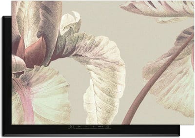 KitchenArt - Blush Iris – Inductie Beschermer - 78x52 cm - Kookplaat Beschermer - Luxe Afdekplaat Inductieplaat - Anti-slip & Oprolbaar - Beschermmat Inductiekookplaat