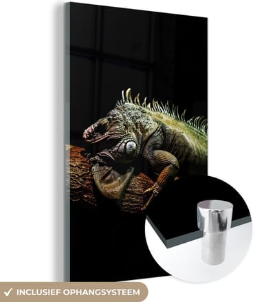 MuchoWow® Glasschilderij 120x180 cm - Schilderij acrylglas - Dier - Tak - Zwart - Foto op glas - Schilderijen