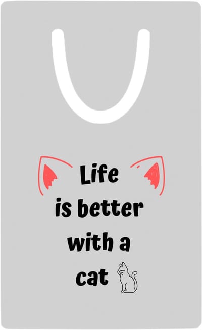 Hacebo® - life is better with a cat metalen boekenlegger - Katten - katten liefhebbers - verjaardag - cadeau - kado - geschenk Bladwijzer boekenleggers - 7.6 cm x 5cm