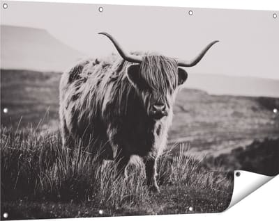 Gards Tuinposter Schotse Hooglander Koe - Zwart Wit - 120x80 cm - Tuindoek - Tuindecoratie - Wanddecoratie buiten - Tuinschilderij