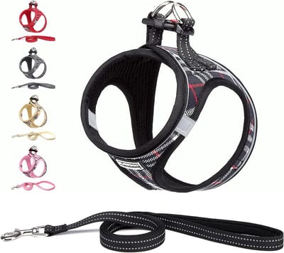 Famanu – Hondentuig voor kleine honden met riem - anti-trektuig Reflecterend ademend borsttuig - puppytuig voor kleine - middelgrote honden (L - Zwart geruit)