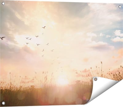 Gards Tuinposter Silhouet Vogels tijdens Zonsopkomst - 80x60 cm - Tuindoek - Tuindecoratie - Wanddecoratie buiten - Tuinschilderij