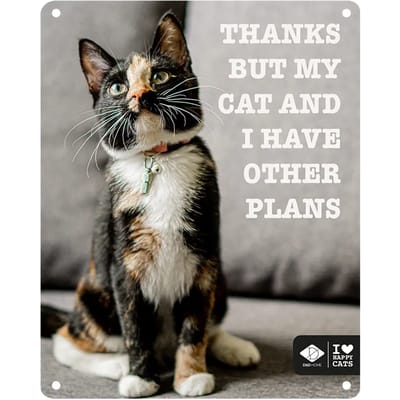 I Love Happy Cats - Anneleen Bru - I Love Happy Cats Bord 'other Plans' 20x25cm Meerkleurig - 174197