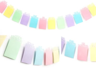 Allecto - Baby Foto Banner - 1e Verjaardag - Milestone Bunting Garland - Geschikt voor 0-12 maanden - Feestdecoratie - Mooie uitstraling - Perfect ...