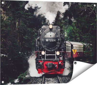 Gards Tuinposter Locomotief in de Bossen met Stoom Wolken - 80x60 cm - Tuindoek - Tuindecoratie - Wanddecoratie buiten - Tuinschilderij