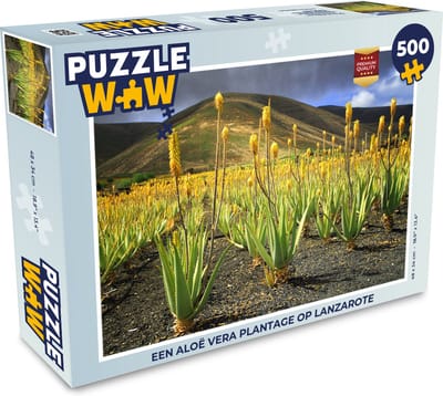 Puzzel Een Aloë Vera plantage op Lanzarote - Legpuzzel - Puzzel 500 stukjes