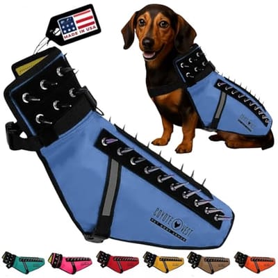 Reflecterend hondenharnas met spikes voor bescherming tegen roofdieren - Ideaal voor kleine honden