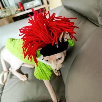 Mode Punk Huisdier Hond Hoed Grappige Rap Rock Brei Bal Winter Warm Wol Huisdier Hoeden Ideaal voor Kleine Katten Sphynx Huisdier Accessoires Producten Hoge Kwaliteit M