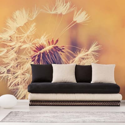 Fotobehang Dandelion1 DD118594 A.S. Création Designwalls | Fotobehang