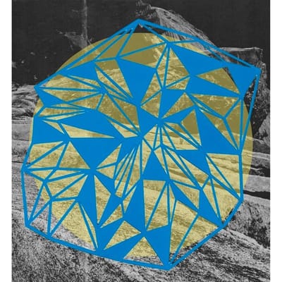 Broads - Field Theory (LP)