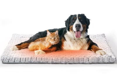Zelfverwarmend kattenbed - Zelfverwarmende mat voor kat en hond - Superzachte en warme matras voor huisdieren -115*70cm -Superwarme mat voor huisdieren - Niet-elektrisch - Geschikt voor kleine en middelgrote katten en honden -Grijs
