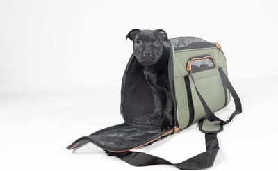 Draagtas hond – Draagtas kat – Flamingo Gisel Groen – 48 x 25 x 33 cm – ventilatiegaas – ritssluiting voor/zijkant – 5 opbergvakken – veiligheidsriem – reistas hond & reistas kat
