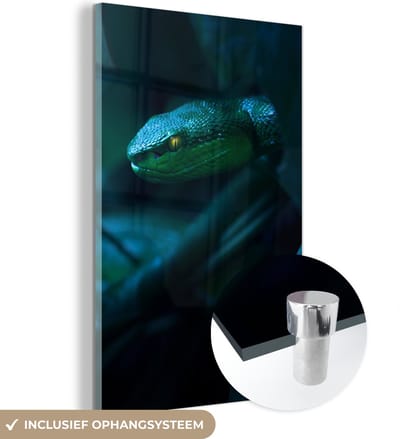 MuchoWow® Glasschilderij 120x180 cm - Schilderij acrylglas - Slang - Macro - Hout - Foto op glas - Schilderijen