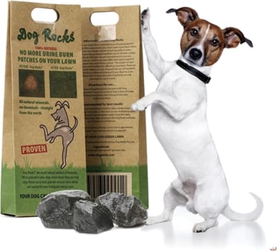 Dog rocks - 200 gr -- zorgt voor een groen gazon , zonder de bruine vlekken door urineren van uw hond - volledig onschadelijk, gewoon in het drinkwater van uw hond leggen .