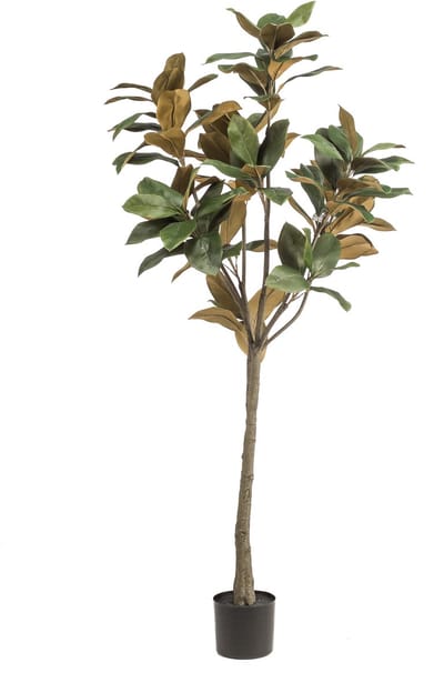 Emerald - Kunstboom Magnolia Denudata 150cm - Kunstplant voor binnen - Magnolia plant - Magnolia boom