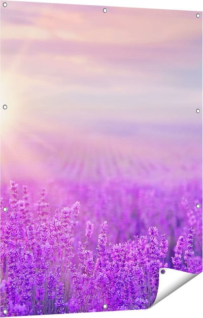 Gards Tuinposter Bloemenveld met Paarse Lavendel - 90x120 cm - Tuindoek - Tuindecoratie - Wanddecoratie buiten - Tuinschilderij