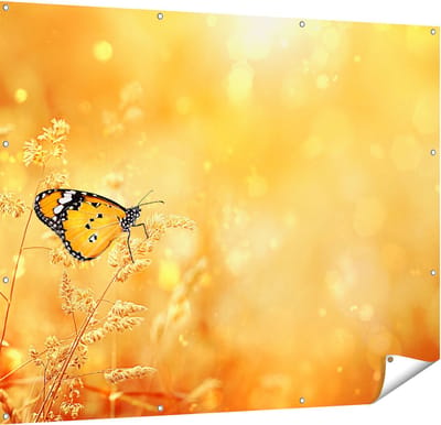 Gards Tuinposter Oranje Vlinder in het Oranje Veld - 150x120 cm - Tuindoek - Tuindecoratie - Wanddecoratie buiten - Tuinschilderij