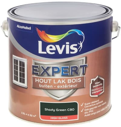 Levis - Expert Hout Lak Buiten High Gloss Mix - Shady Green C80 - Mengverf - 2,5 L
