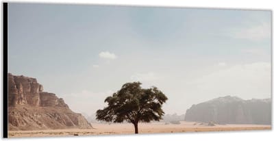 KuijsFotoprint - Schilderij - Boom Kale Vlakte - Groen En Bruin - 100 X 200 Cm