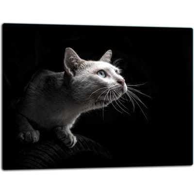TMK ArtDeko - Glas Snijplank - 52x40 cm - Beschermend Beeld