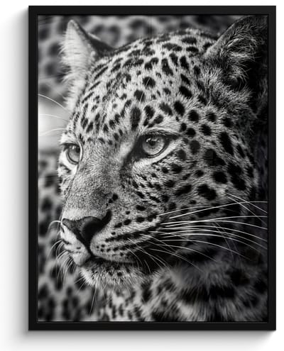 Poster in lijst - Fotolijst 60x80 cm - Posters - Luipaard - Zwart - Wit - Oog - Posterlijst zwart - Decoratie - Wanddecoratie woonkamer - Muurdecoratie slaapkamer