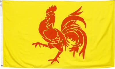 Trasal - vlag Waals Gewest - Wallonië (Waalse Haan) – 150x90cm