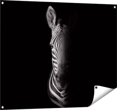 Gards Tuinposter Halve Zebra - Zwart Wit - 100x80 cm - Tuindoek - Tuindecoratie - Wanddecoratie buiten - Tuinschilderij