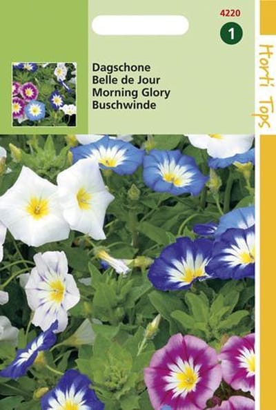 Hortitops Zaden - Convolvulus Tricolor Gemengd