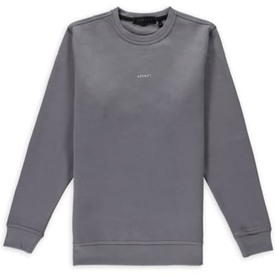 Aspact  Back Logo Sweater Quick Silver Größe: XXL | Pullover Outlet | Unisex | Grau
