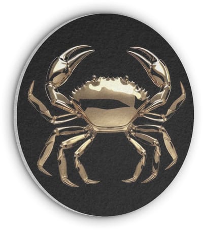 Akoestisch wandpaneel rond 50x50 cm - Vilt schilderij Goud - Krab - Dieren - Zwart - Ronde akoestische panelen - Geluidsdempende wanddecoratie - Geluidsisolatie wandcirkel - Muurdecoratie geluidspanelen