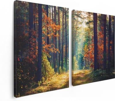 Artaza Canvas Schilderij Tweeluik Herfstbos Met Zonneschijn - Kleur - 120x80 cm - Wanddecoratie Woonkamer - Schilderijen - Muurdecoratie