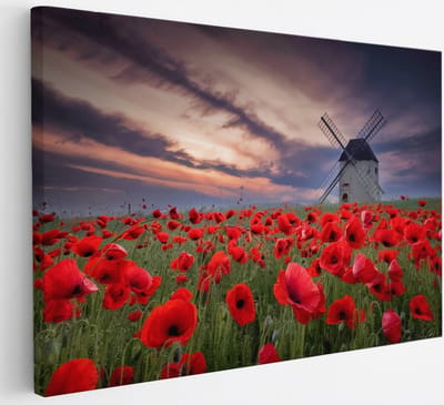 Saammp Canvas Schilderij - Klaprozen met molen - Bloemen - Landschap - Natuur - 30x20 - Foto op canvas - Wanddecoratie - Muurdecoratie Woonkamer - Slaapkamer decoratie - Canvas Print