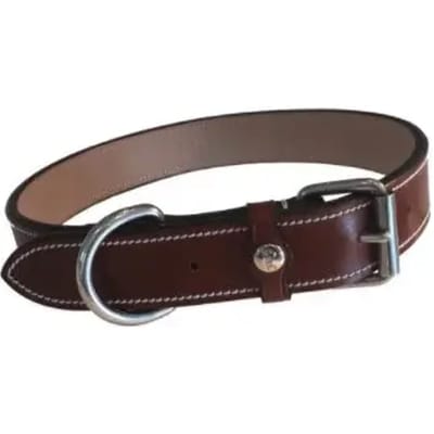 Hondenhalsband Silver Crown Karl