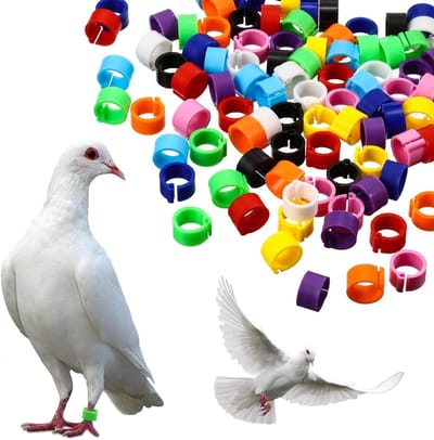 Identificatie Ringen voor Vogels, 200 Stuks, Plastic Markering Ringen voor Duiven, Kippen en Kwartels, 8 mm, Gemengd