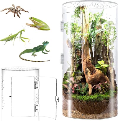carmdering - Zylindrisch Terrarium - Vivarium - Acryl Faunabox - 360° HD-Panorama - Vertikale Ruimte - Hoogwaardig Acryl - Krasbestendig - Uitbraakveilig - 1 Stuk